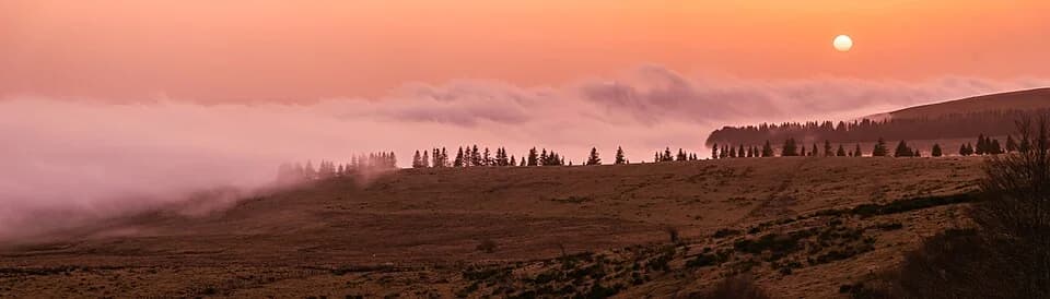 Que faire en Lozère ? Loups, gorges et ciel étoilé