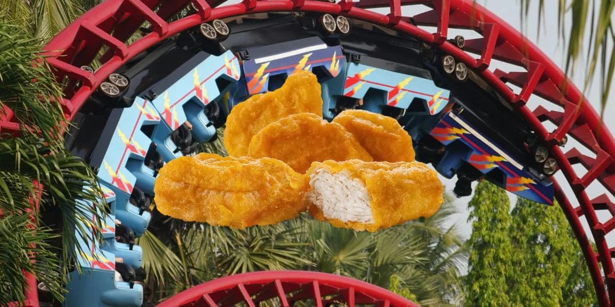Un Youtubeur banni pour avoir mangé des nuggets dans un roller coaster