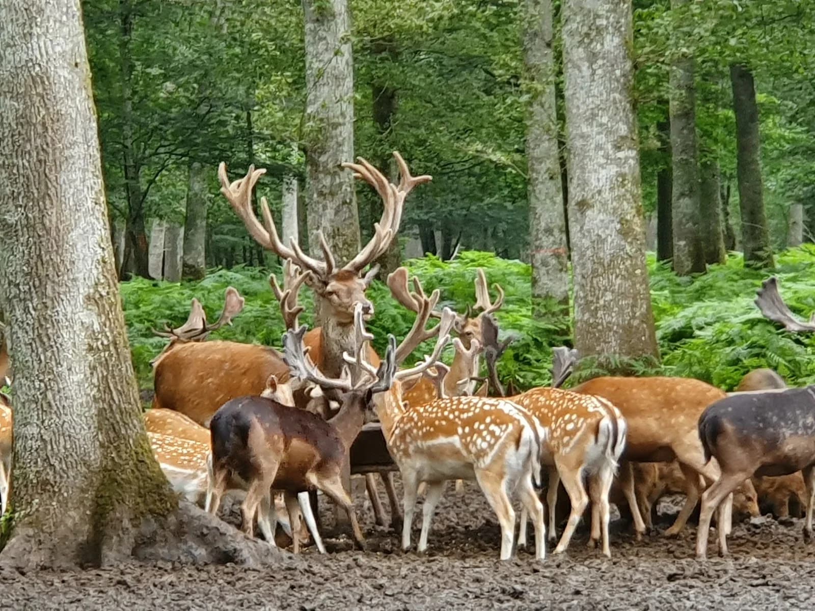 Parc naturel de Boutissaint