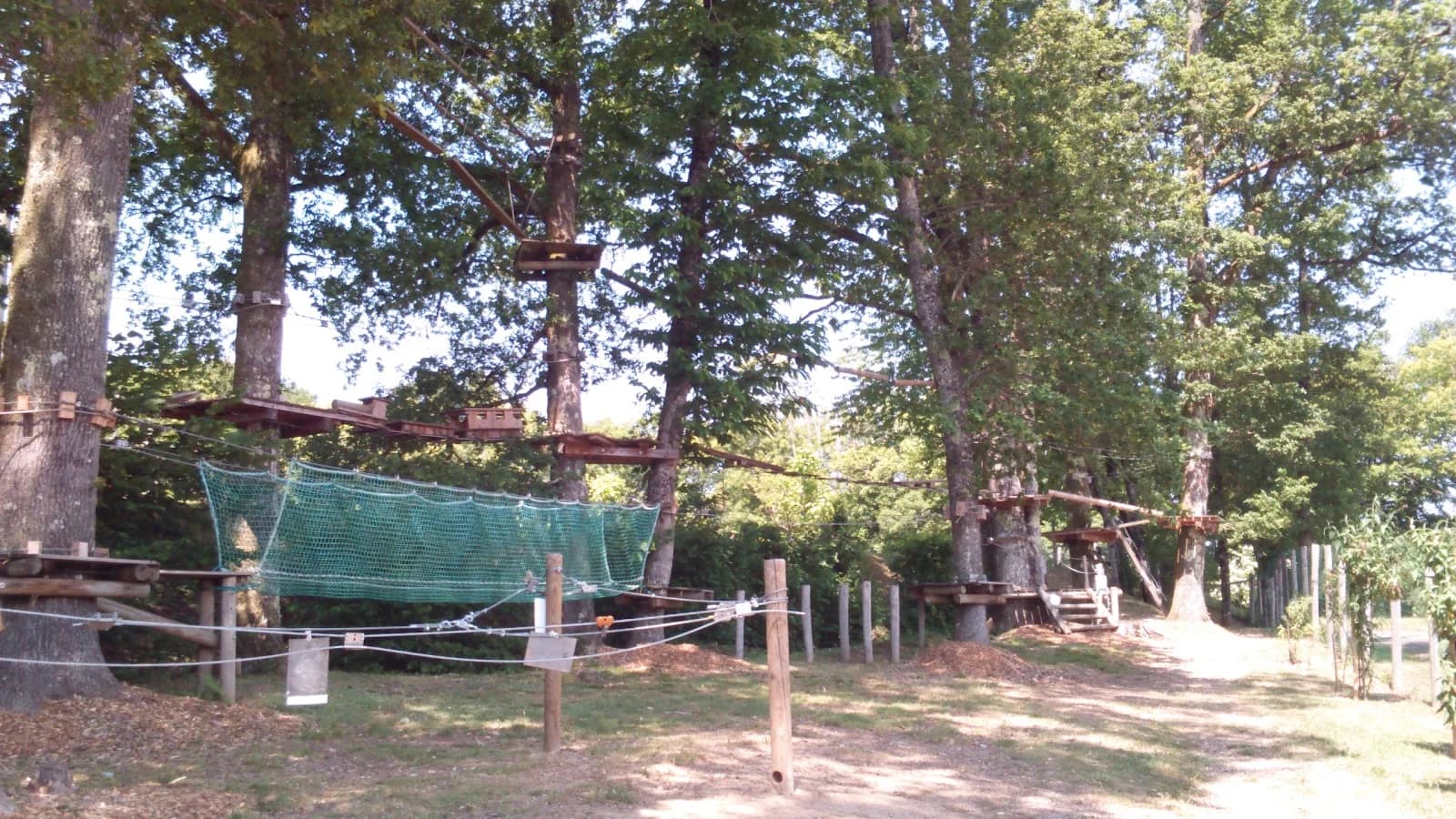 Montoz'arbres