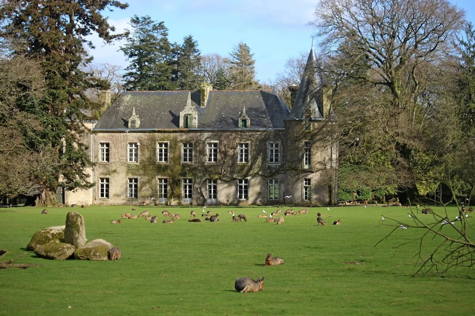Parc animalier et botanique de Branféré