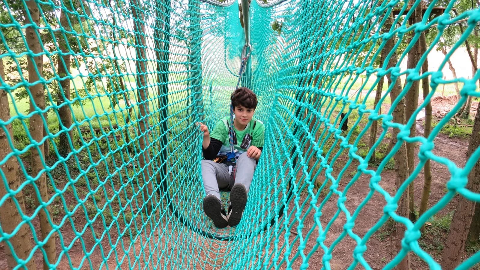 Jumping forest