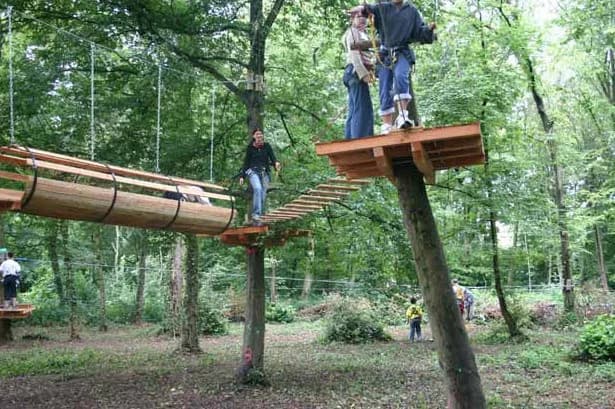 Chichoune accroforest