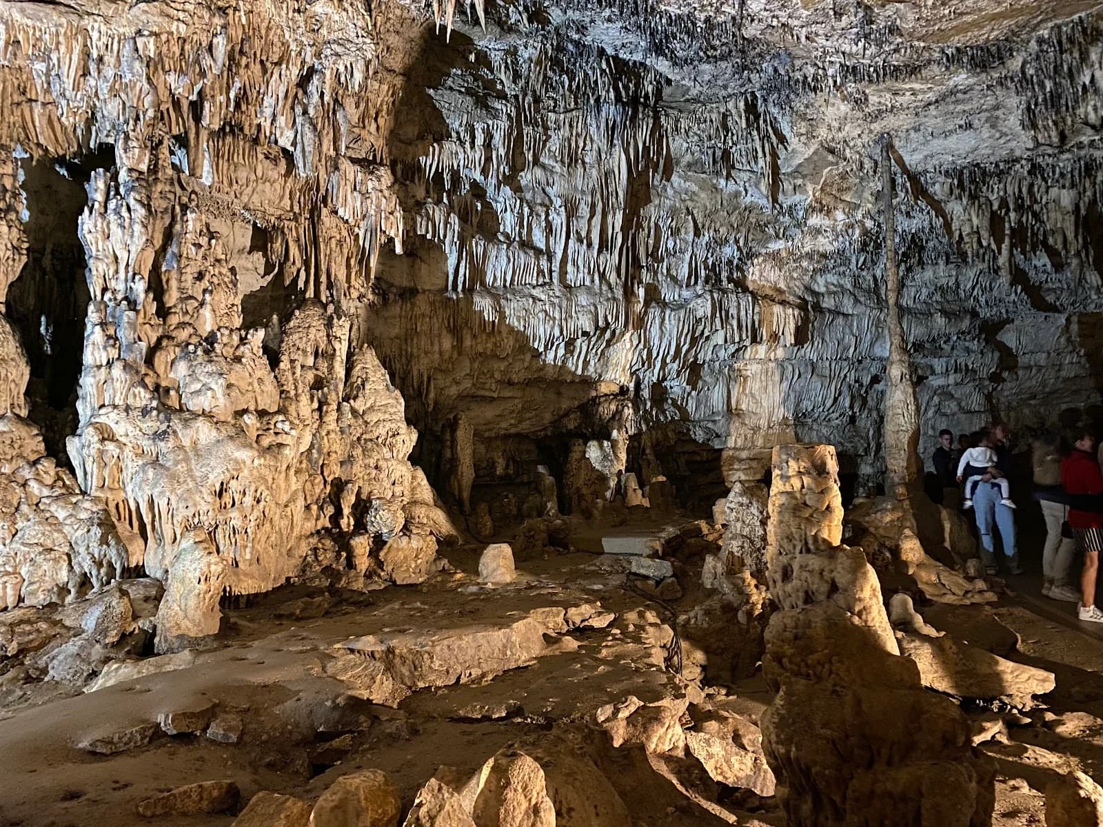 Grottes D’Arcy