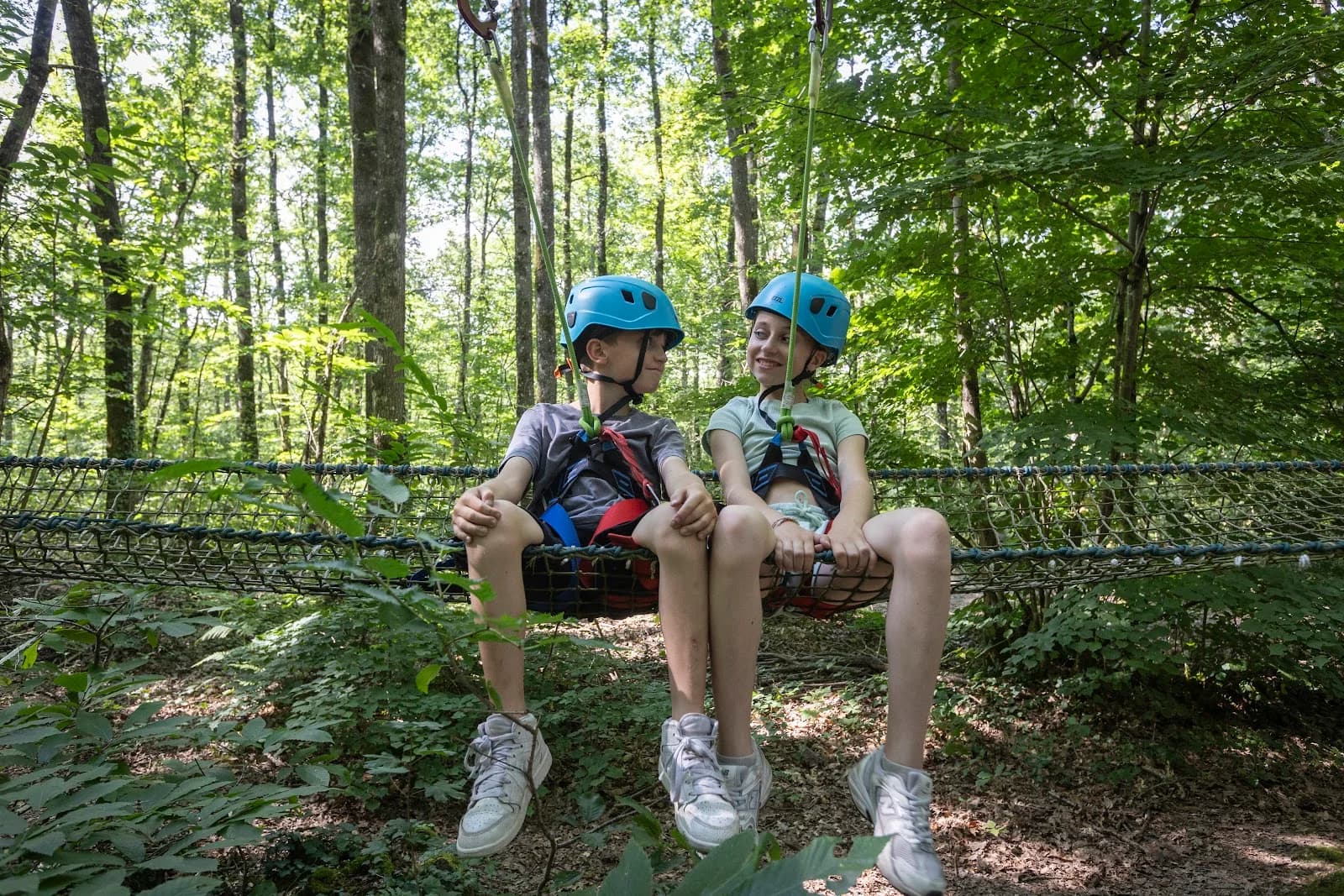 Fun Forest