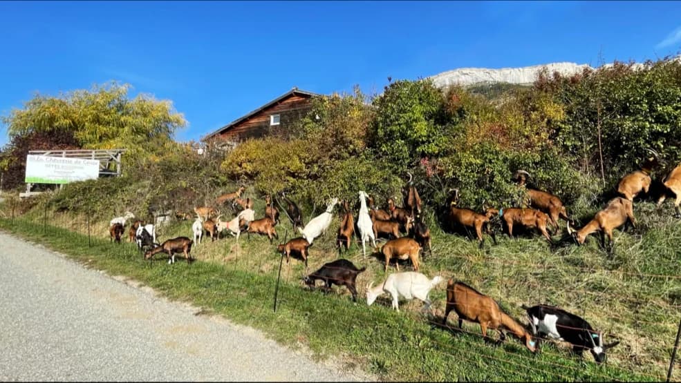 La Chevrerie de Céüse