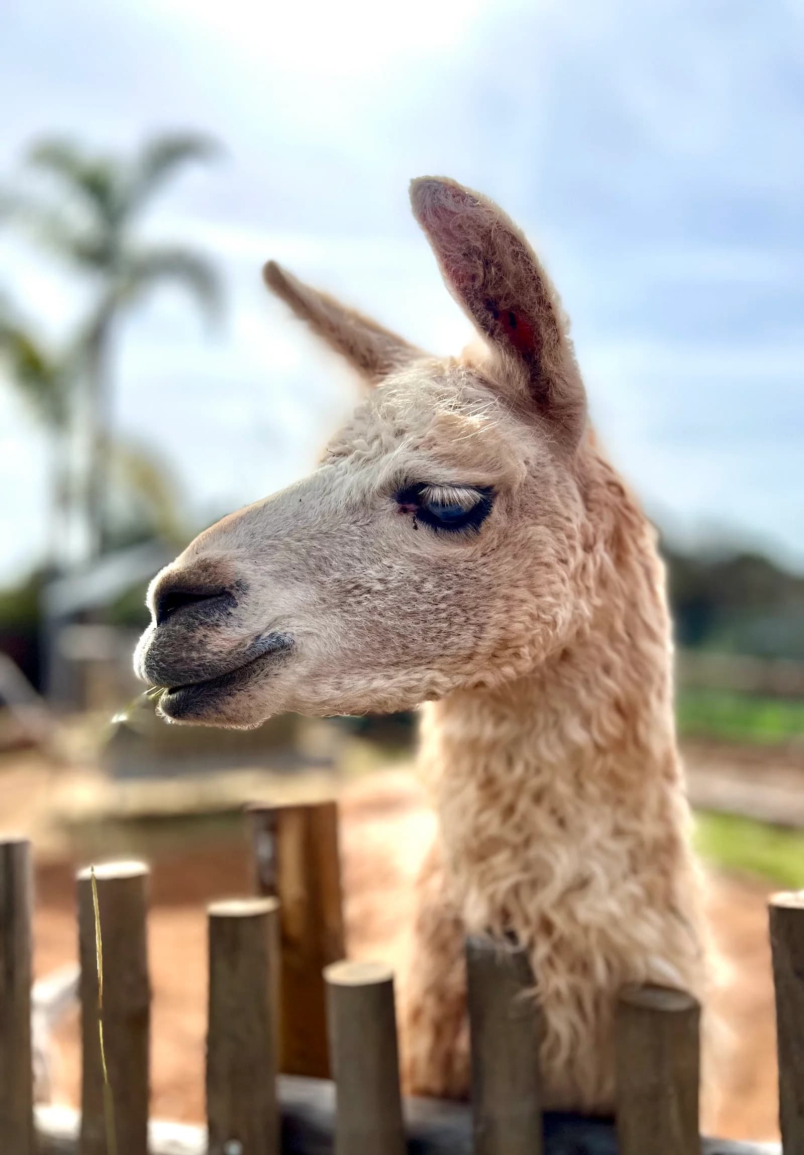 ZooParc Du Cannet Des Maures