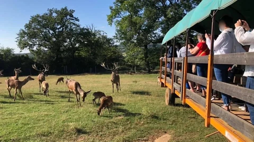 Parc Animalier le St Hubert