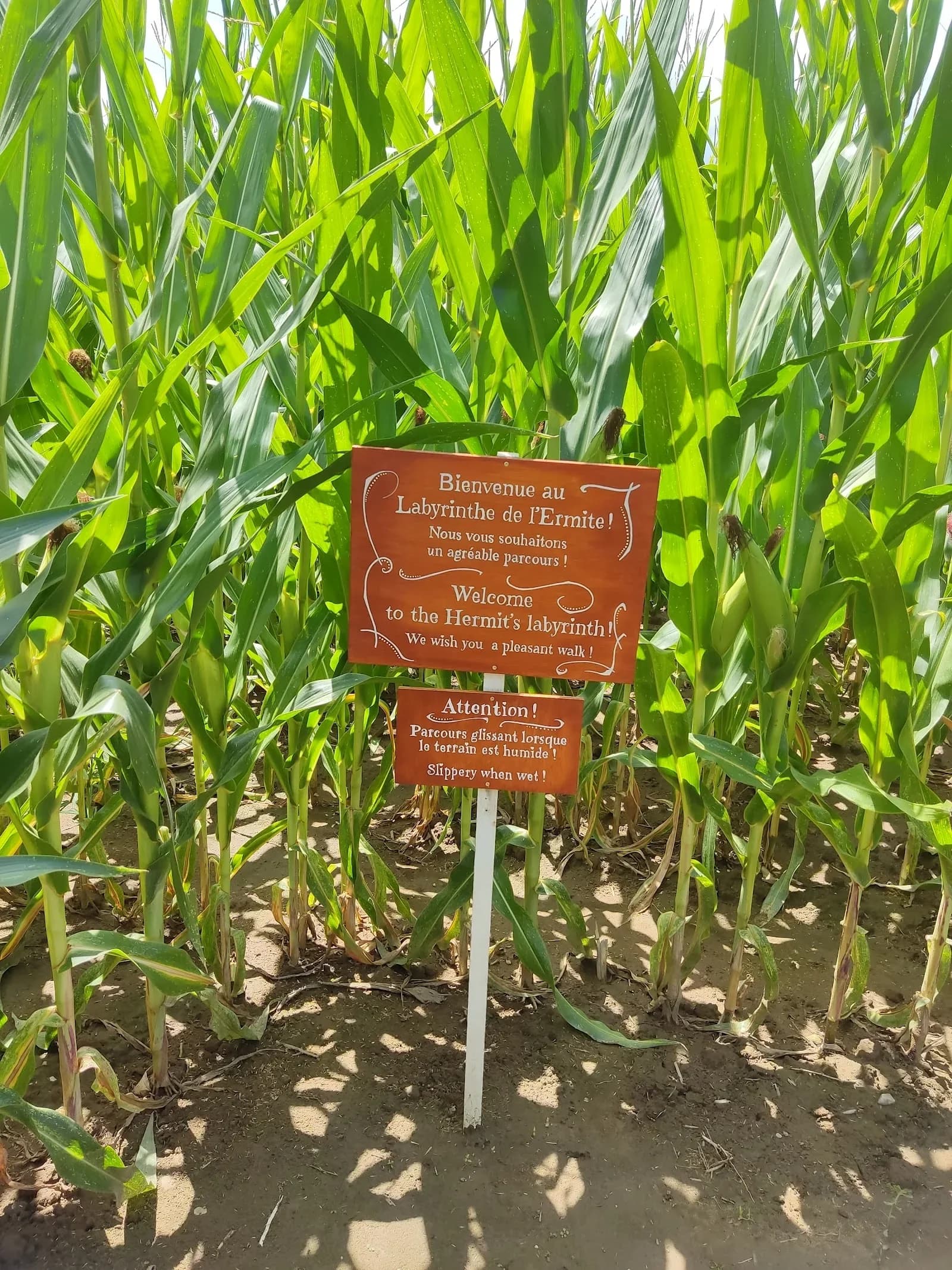 Le Labyrinthe de L'Ermite