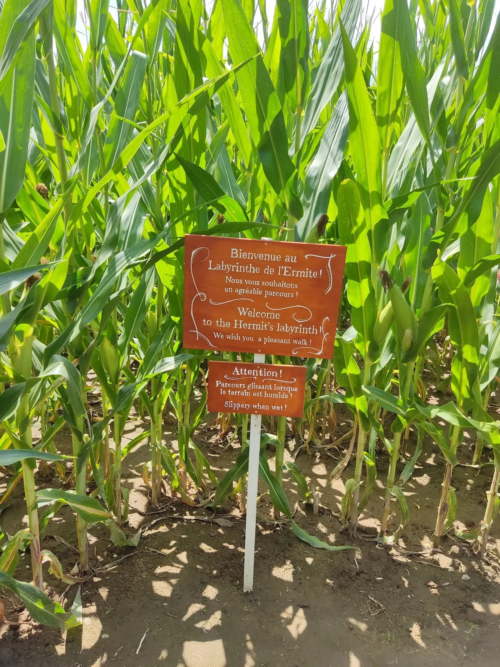 Le Labyrinthe de L'Ermite
