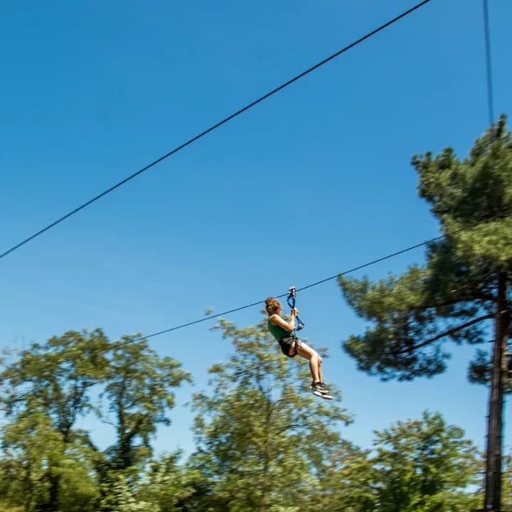 VERT TIGE PARC
