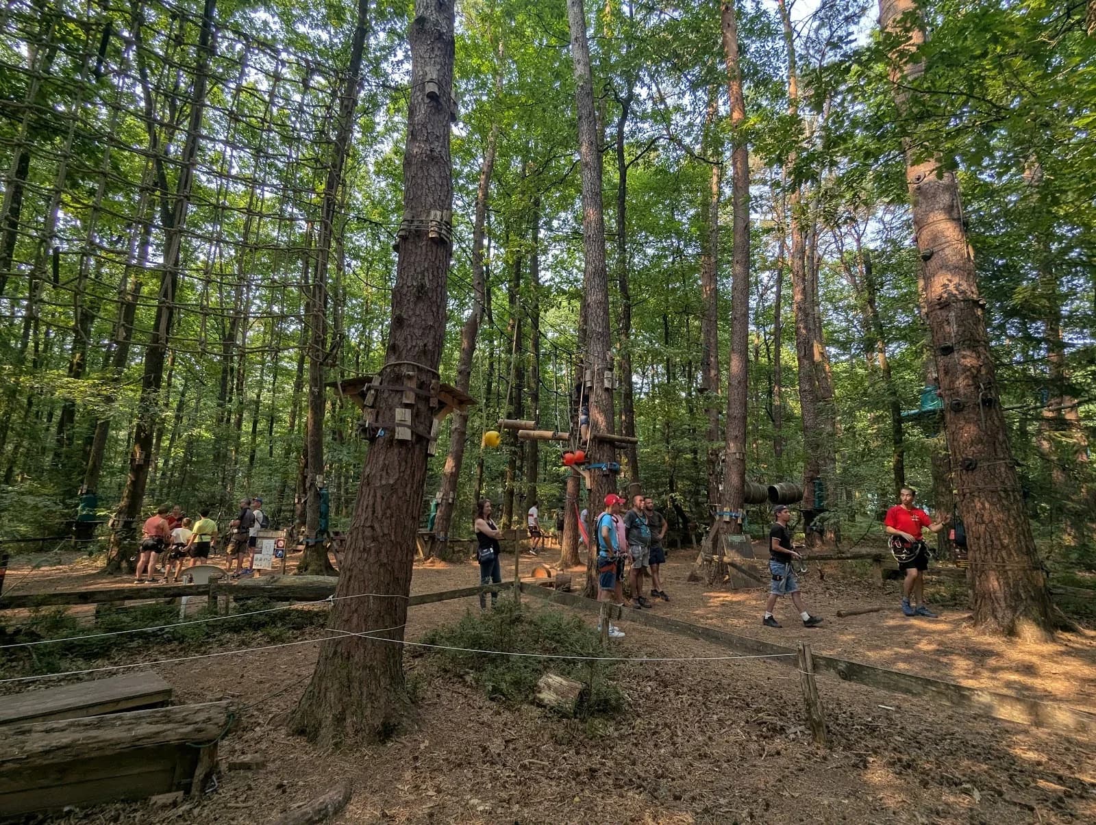 Les Tyroliennes de la Forêt