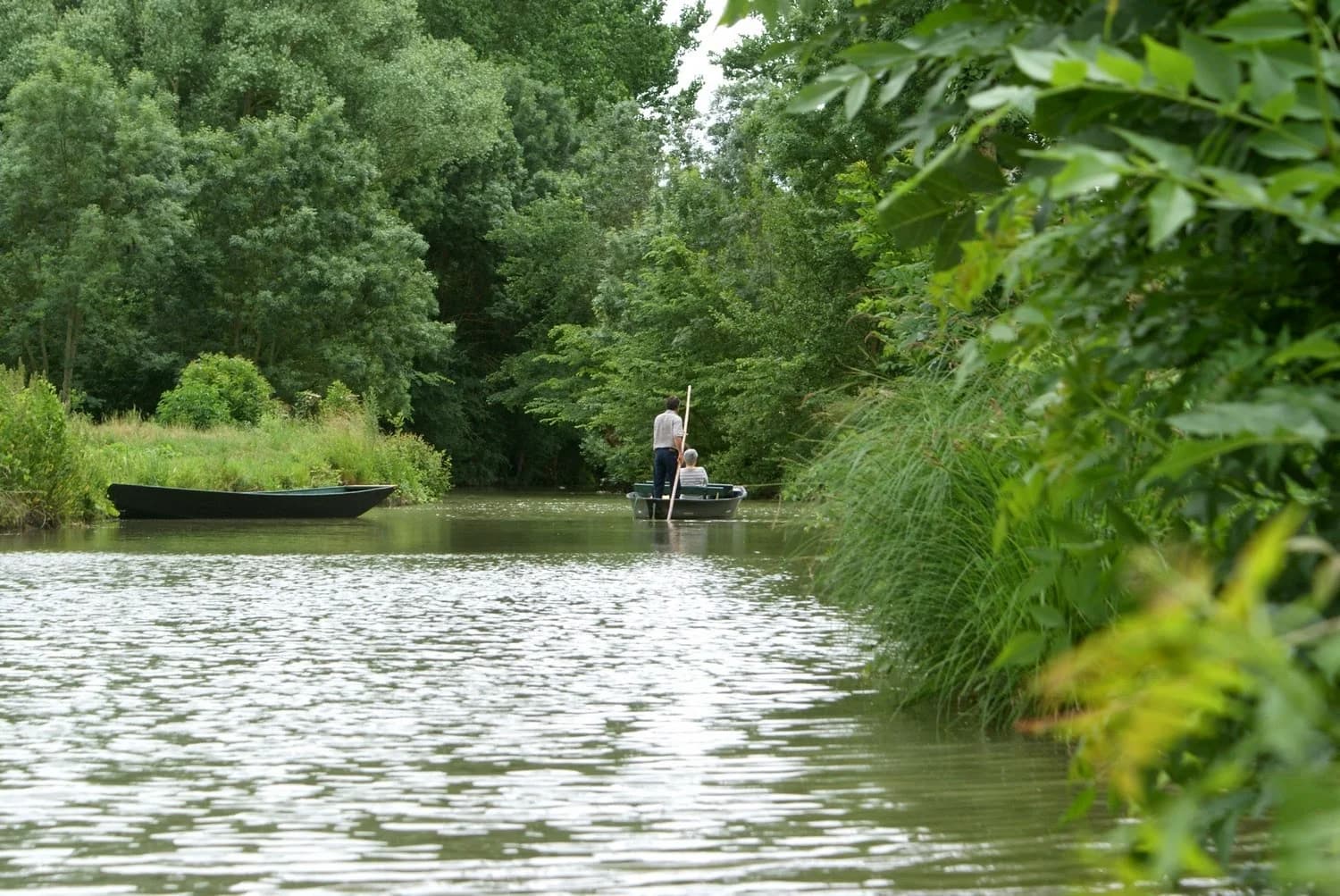 Les Oiseaux du Marais Poitevin