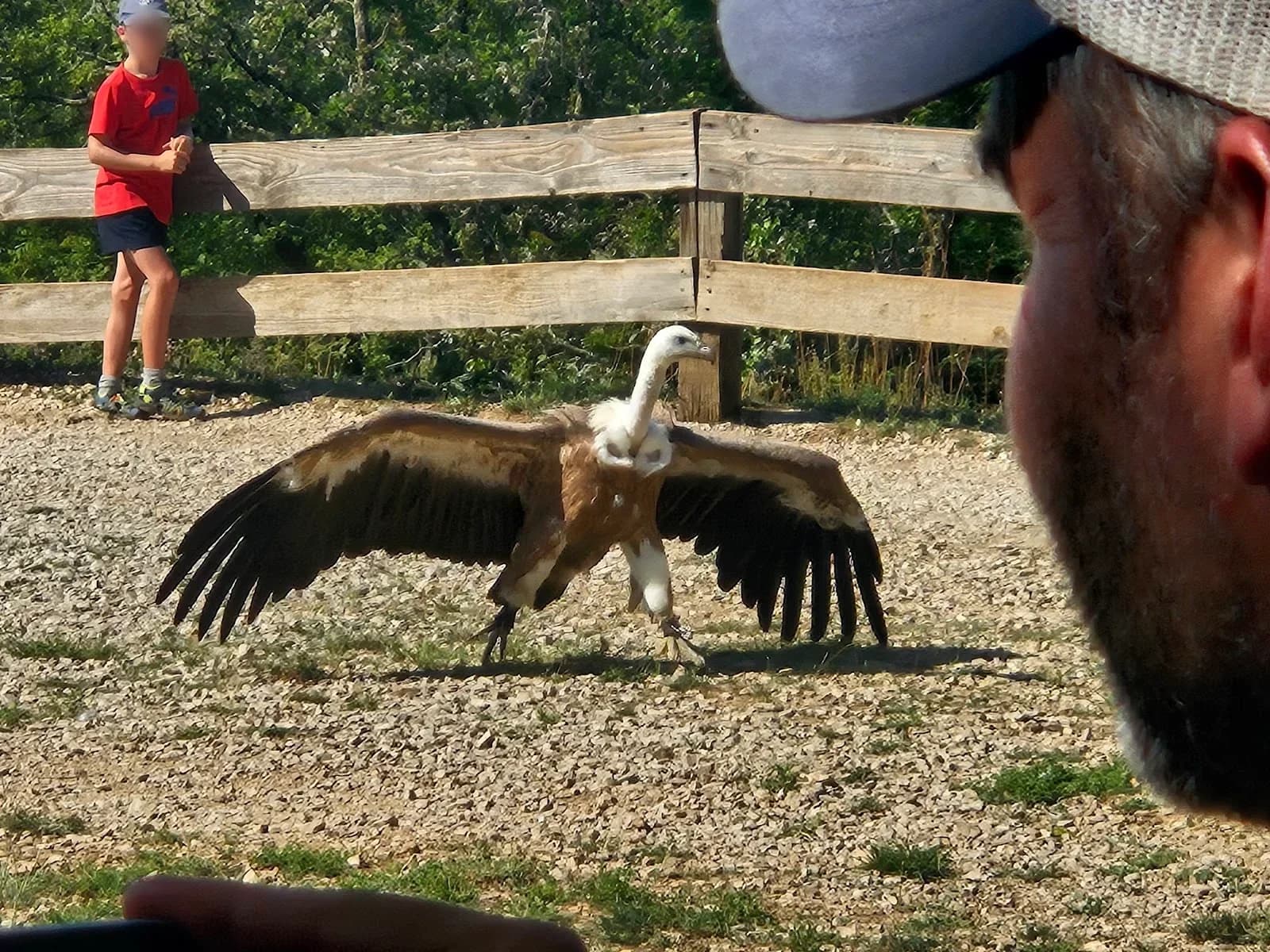 Ecoparc rocher des Aigles