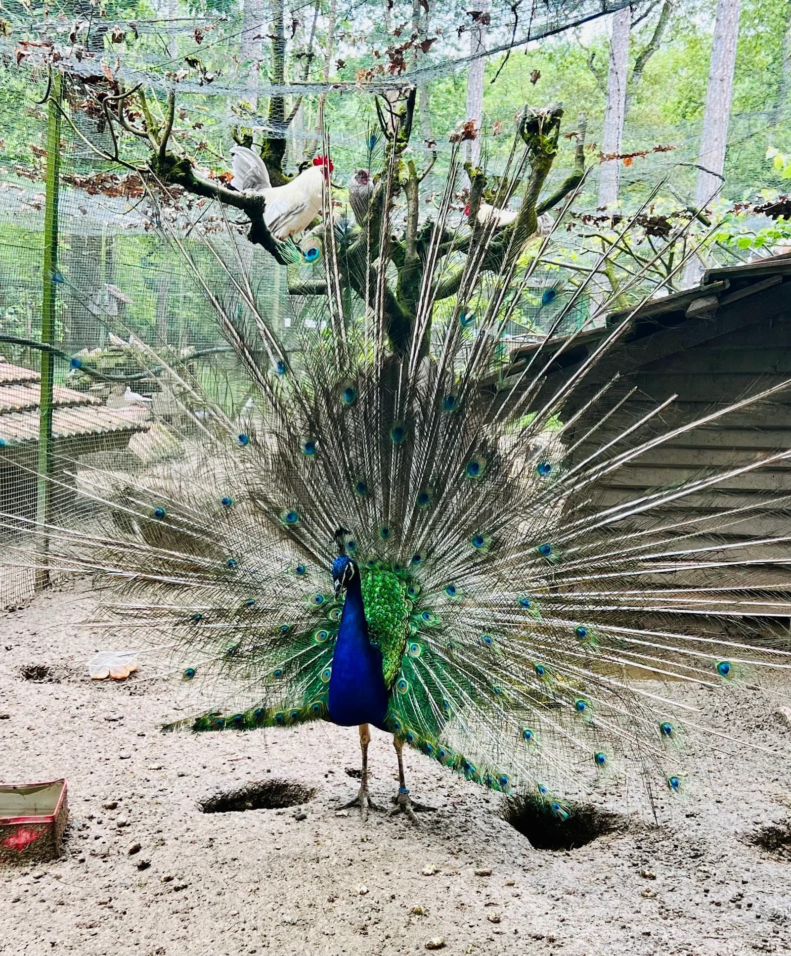 Parc Animalier la Bannie