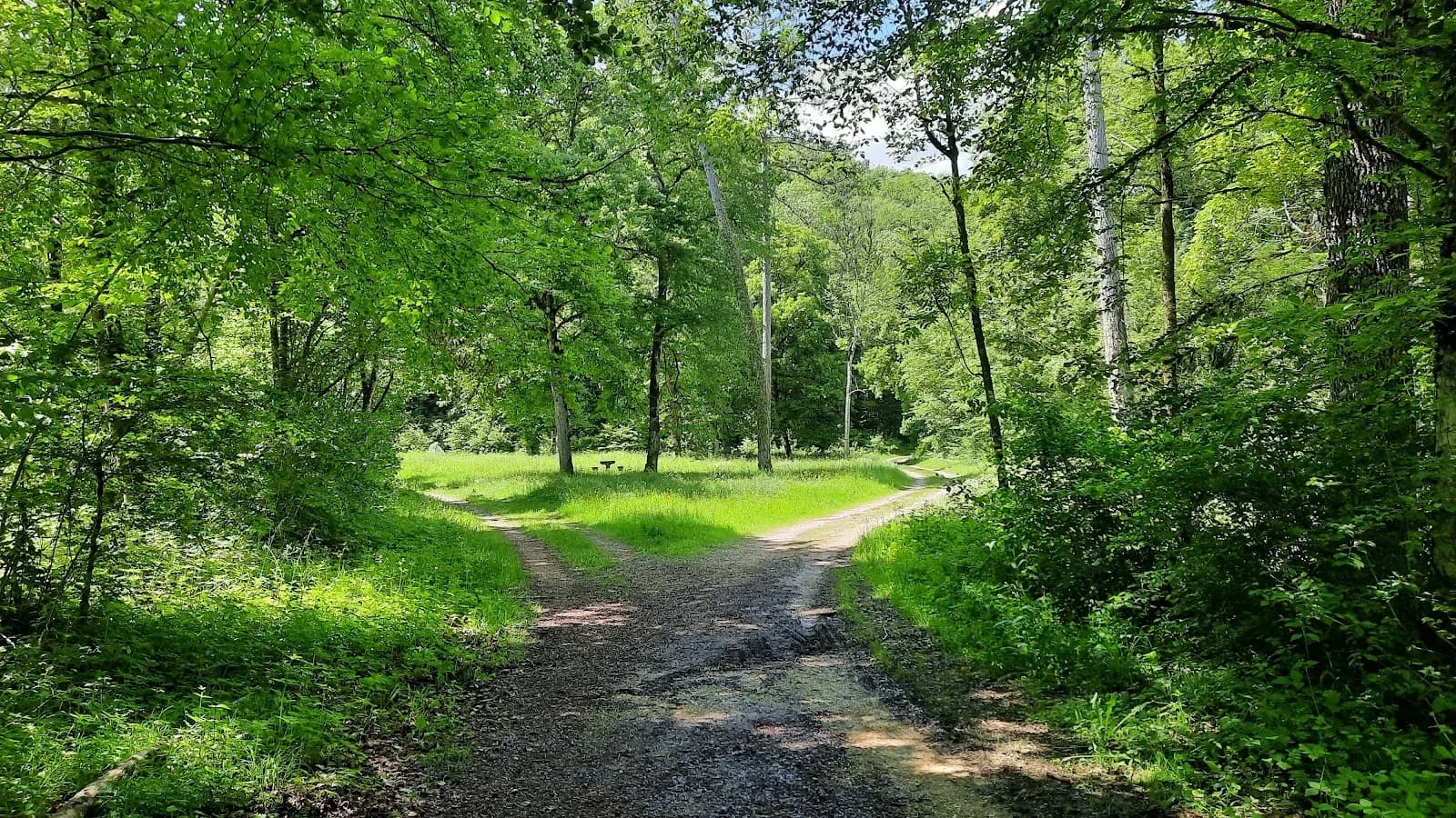 In Forest Aventure et Nature