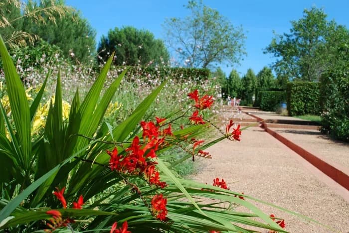 "Les jardins de colette" et son labyrinthe géant