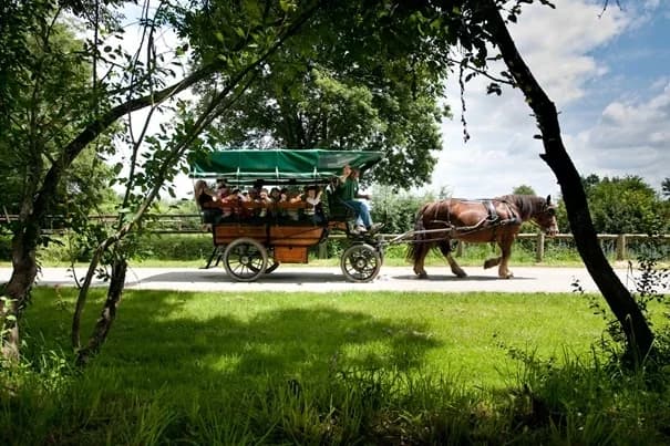 Le Pôle du Cheval et de l'Âne