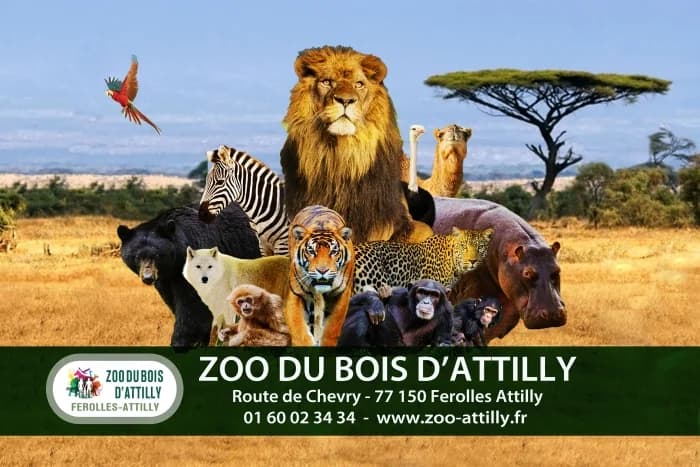 Zoo du bois d'Attilly