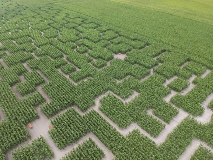 Pop Corn Labyrinthe Yvelines