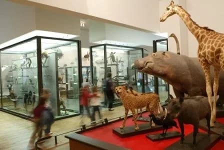 Le Muséum-Aquarium de Nancy