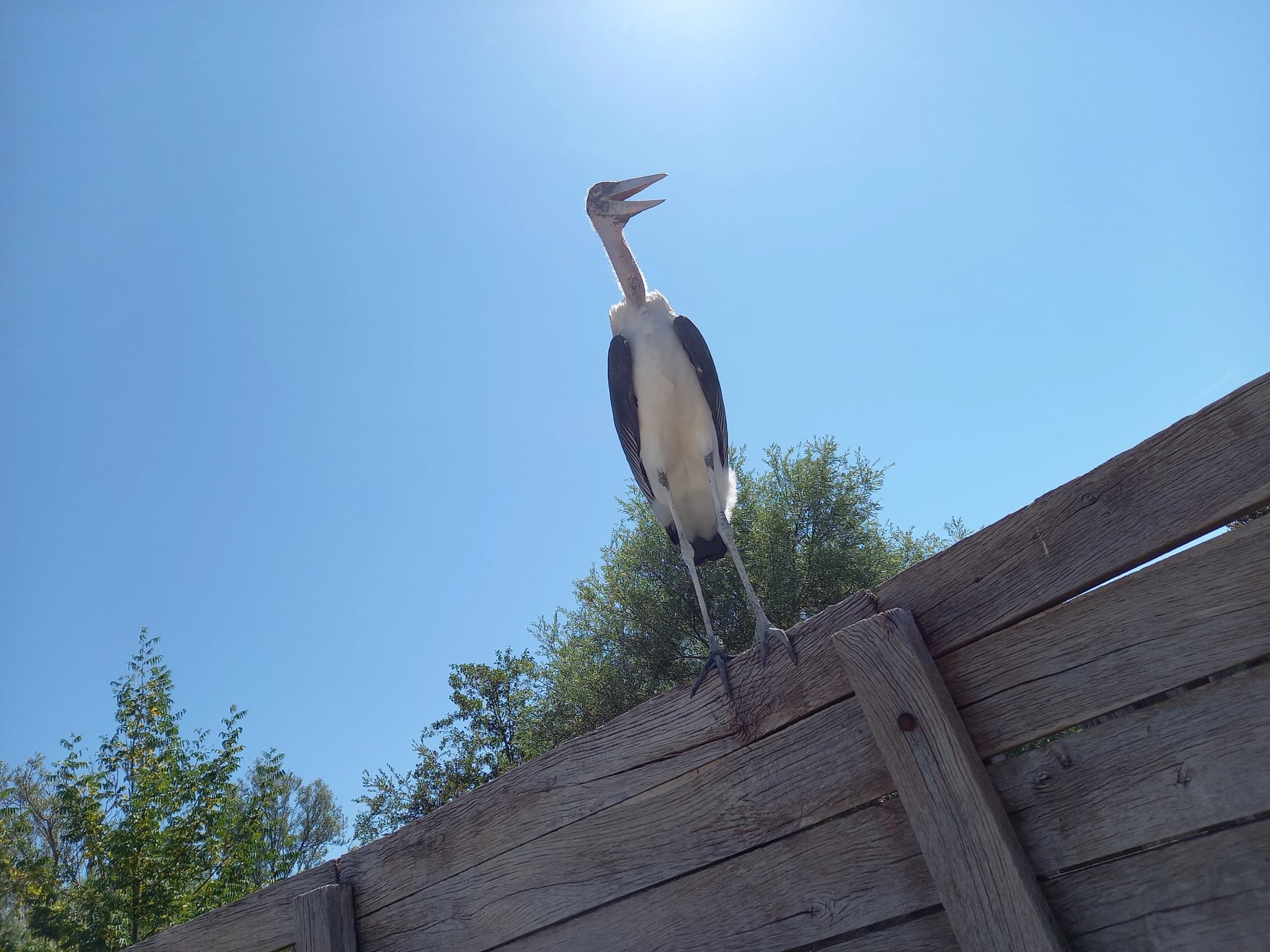 Photo d'avis par marie Ln