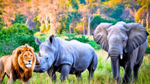 Safari, ferme ou zoo ? Le bon type de parc animalier selon l’âge de vos enfants