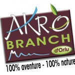 logo AKROBRANCH d'Orlu