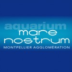 logo Aquarium Mare Nostrum