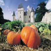 logo Chateau et jardins du Rivau