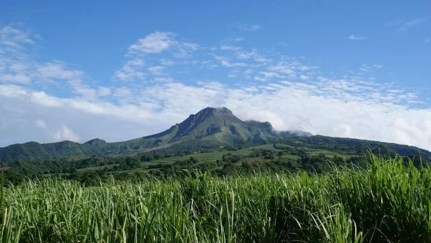 Quelles activités pour un séjour en Martinique ?