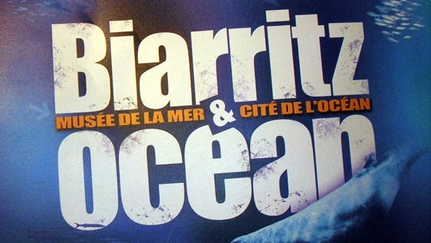 Chasse aux œufs de raies au Musée de la Mer de Biarritz