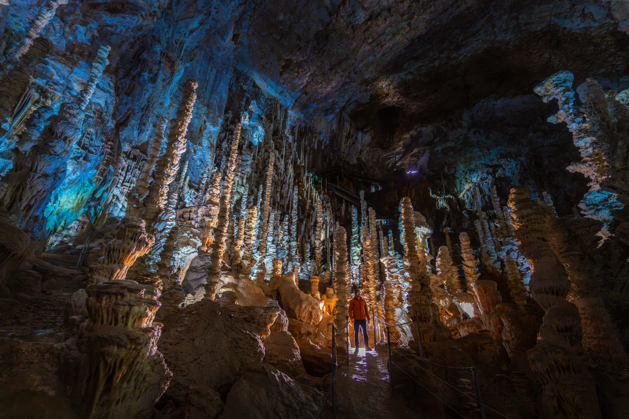 ©-Greg-Alric_Aven-Armand®-02_2025_foret-de-stalagmites-Aven-Armandjpg-1-2048x1365