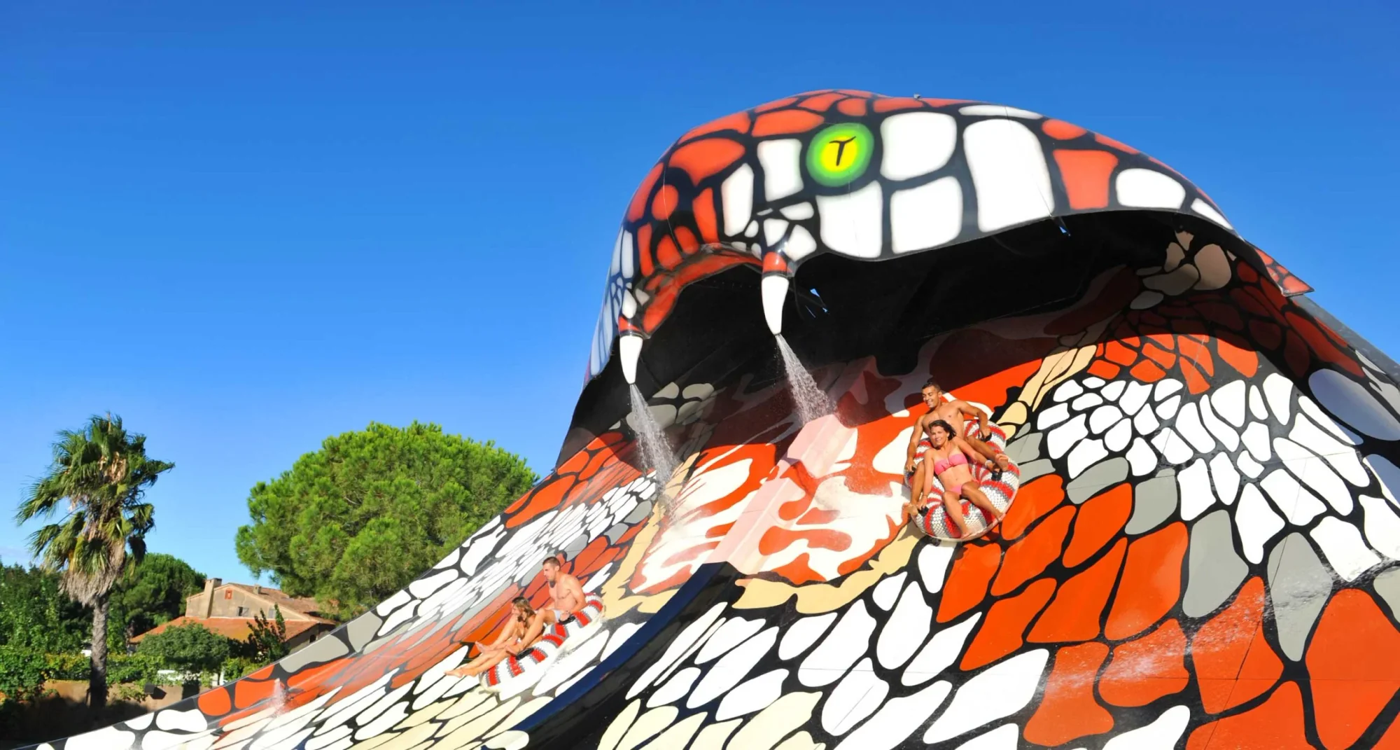 kingcobra-1-scaled