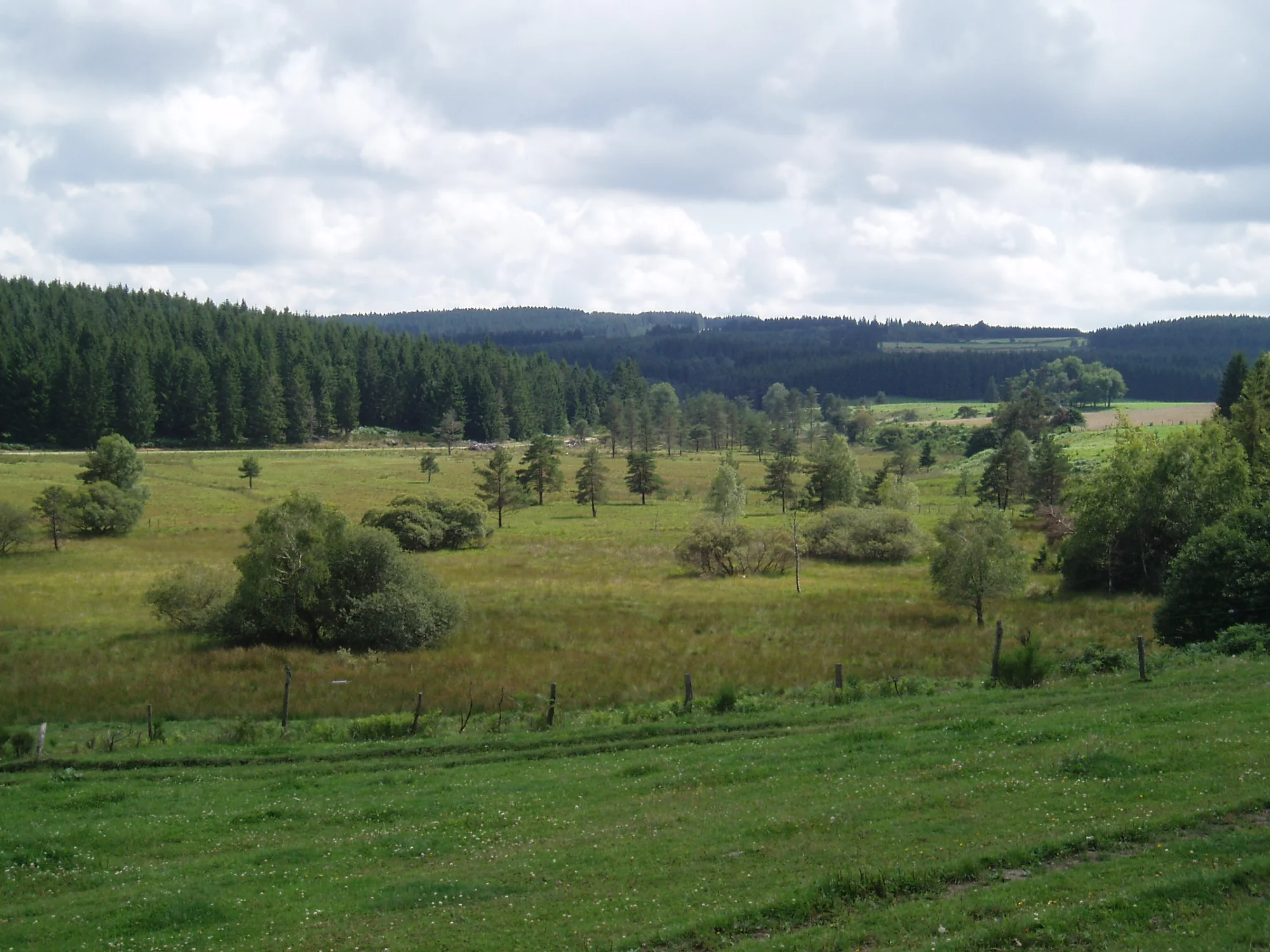 Prairie2