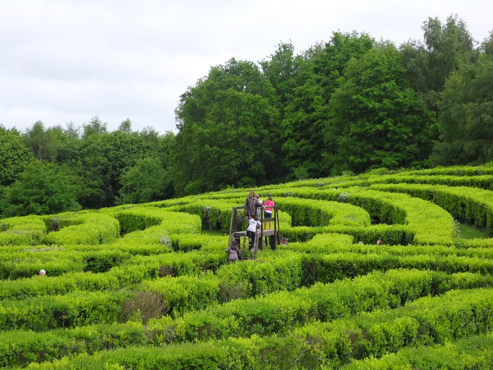 5. Le Labyrinthe géant des Monts de Guéret (Creuse)